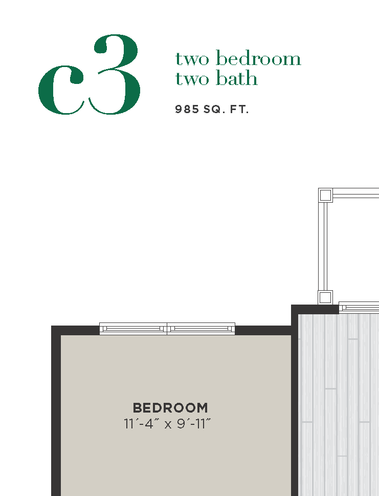 C3
